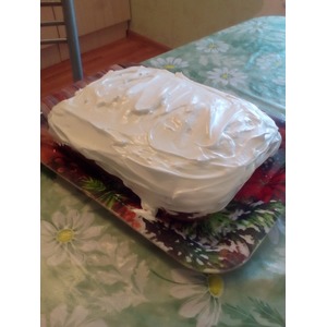 ���� "������ �����"