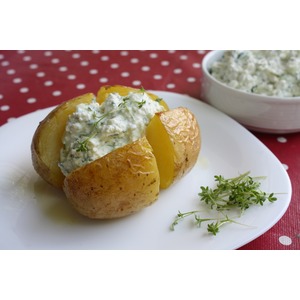 �������������� ����