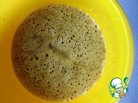 ���� � ���������-��������� ������ �����������