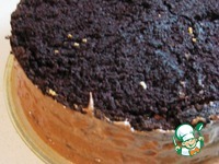 ���� � ���������-��������� ������ �����������