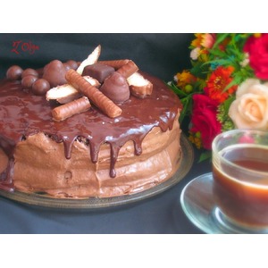 ���� � ���������-��������� ������