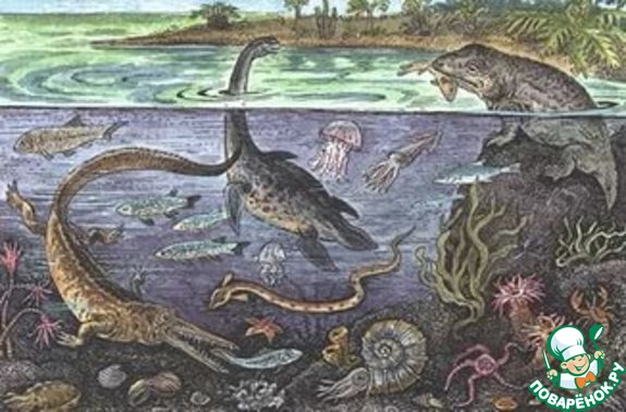 ����������� ������������. �������������� �����. ������������������ �������.