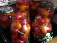 ���������������� �������� �����������