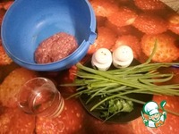 �������� �����������