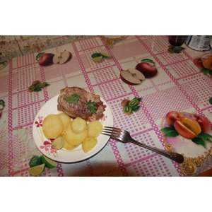 ���� "��������"