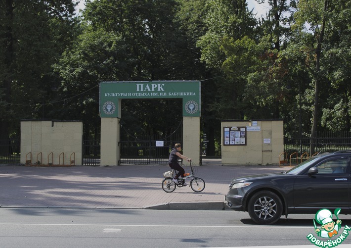 Бабушкин парк сайт. Ломоносовская парк Бабушкина. Парк Бабушкина вход. СПБ парк Бабушкина входы. Парк Бабушкина вход дома.