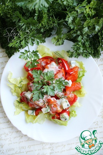 ������ ����� � ������ "��� ���"