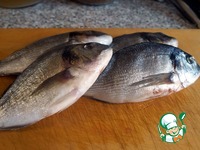 ������ � �������� � ������� �����������