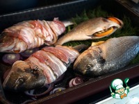 ������ � �������� � ������� �����������