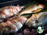 ������ � �������� � ������� �����������