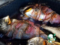 ������ � �������� � ������� �����������