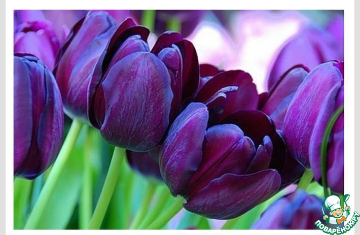 ���� ������������ � ���� �������� ������� (alexkuchinski).