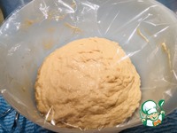 ����-������� � ������ �����������