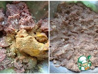 ����� � ������� �����������