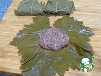 ����� � ������� �����������