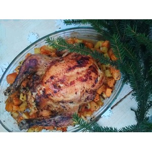 ������������� ������ ��-����������