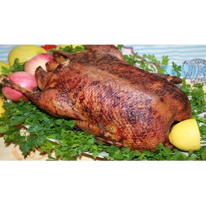 ����, ���������� � �������