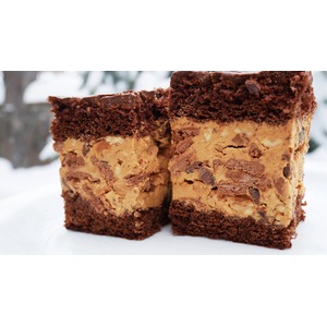 ���� "�������"