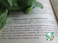 ������� �� ������ �� �������� �����������