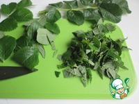 ������� �� ������ �� �������� �����������