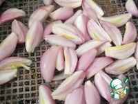 ������� ��������� � ������� � ����� �����������