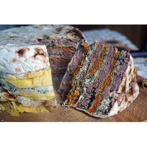 ���� �������� �������