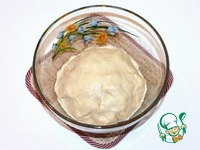 ���������-������� ����� �����������