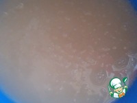 ����� ��������� � ������� � ����� �����������