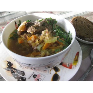 ������ ������-���������� ��� "���������"