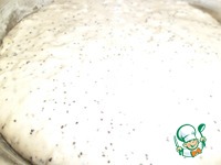 ������ � �������� � ����� �����������