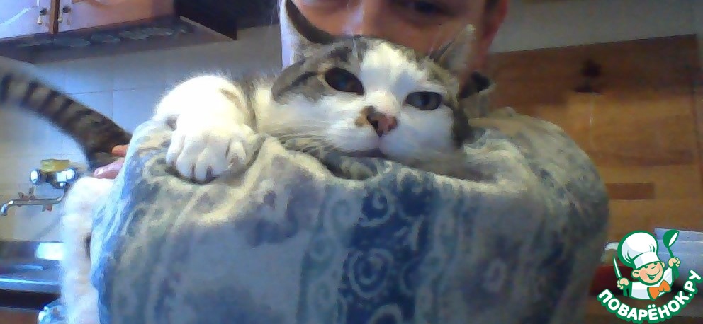 ��� ���������