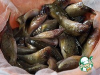 ��� �� ������ �����������