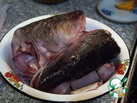 ��� �� ������ �����������