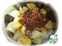 ��� ��-�������� �����������