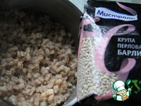 ���-���� ���������-�������� � ��������� �����������