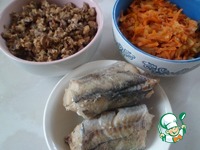 ������ �� ������ � �������� ��������� �����������