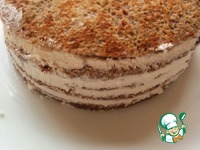 ���������-������� ���� � ����������� � �������� �����������