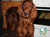 ������ ����� � ��������� �� ��������� �����������