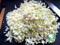 ���� "���������" � �������� �����������