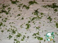 ����� � ����� � ��������� ��������� �����������