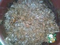 ���������-������� ������ "�������" �����������