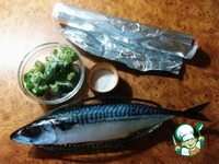 �������� � ����� �� ���� �����������