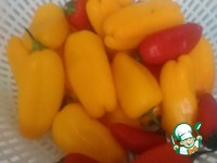 ����-�����, ���������� � �������������� �����������