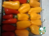 ����-�����, ���������� � �������������� �����������