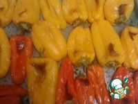 ����-�����, ���������� � �������������� �����������