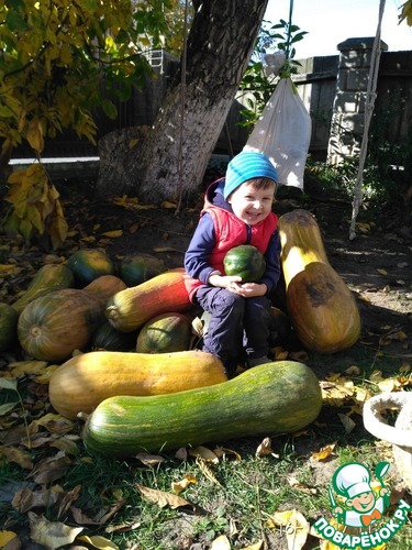 ��� ����������