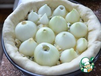 ����� ������� "�������" �����������