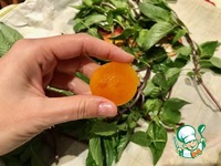 ������� ������� ������ �����������