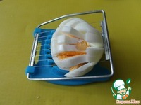 ��������� �����, ������, ���� �����������