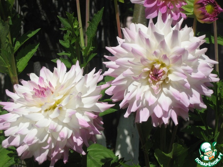 �������� ������ - 2018-3.